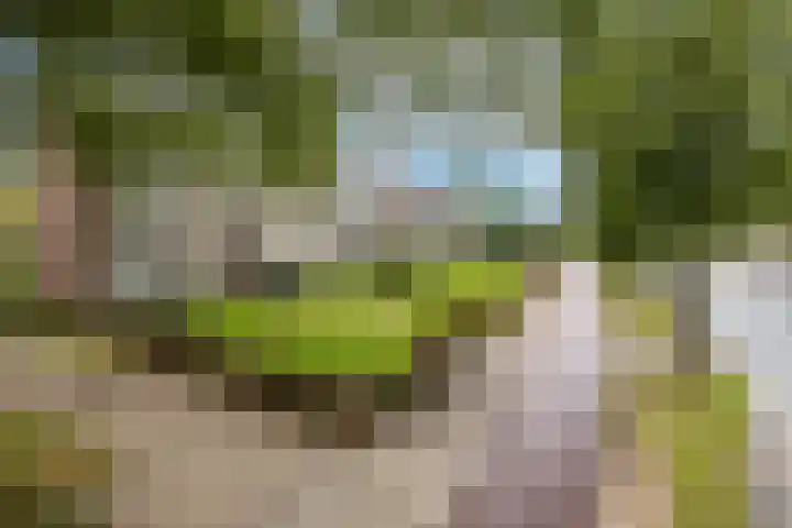 Velperweg 50 2 Arnhem thumbnail 8