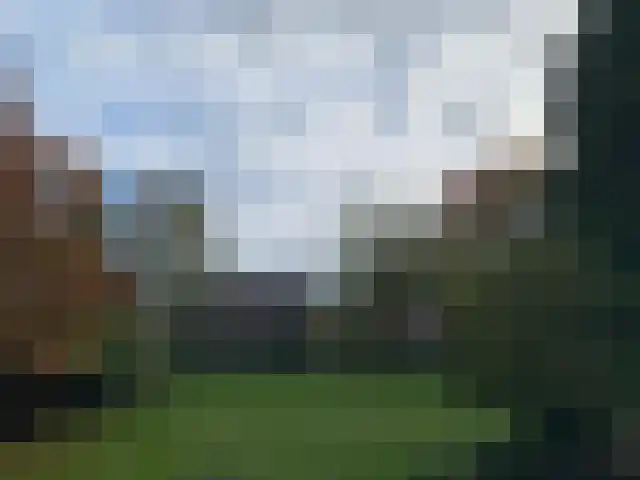 Velperweg 50 Arnhem thumbnail 8