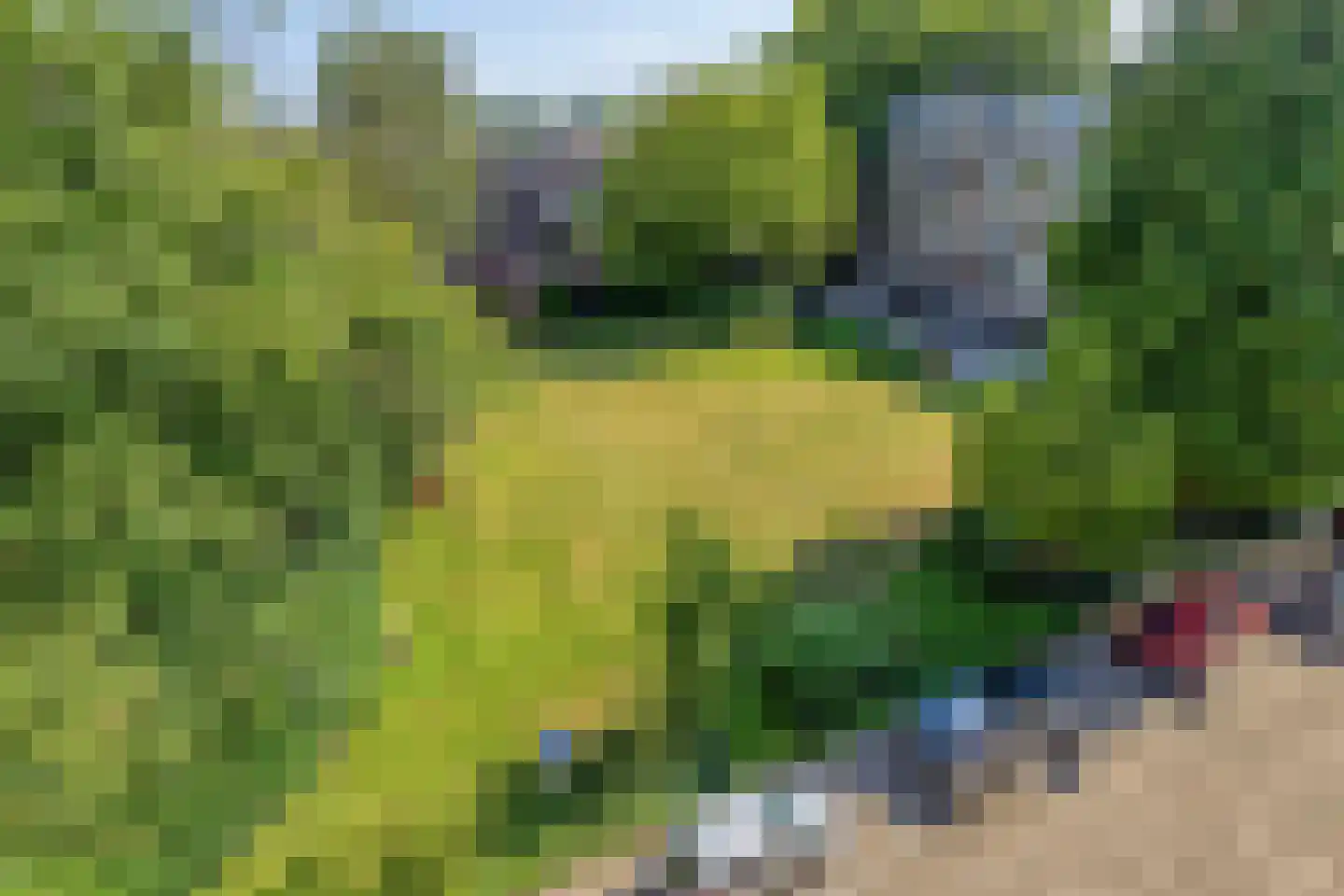 Velperweg 50 B 4 Arnhem thumbnail 23