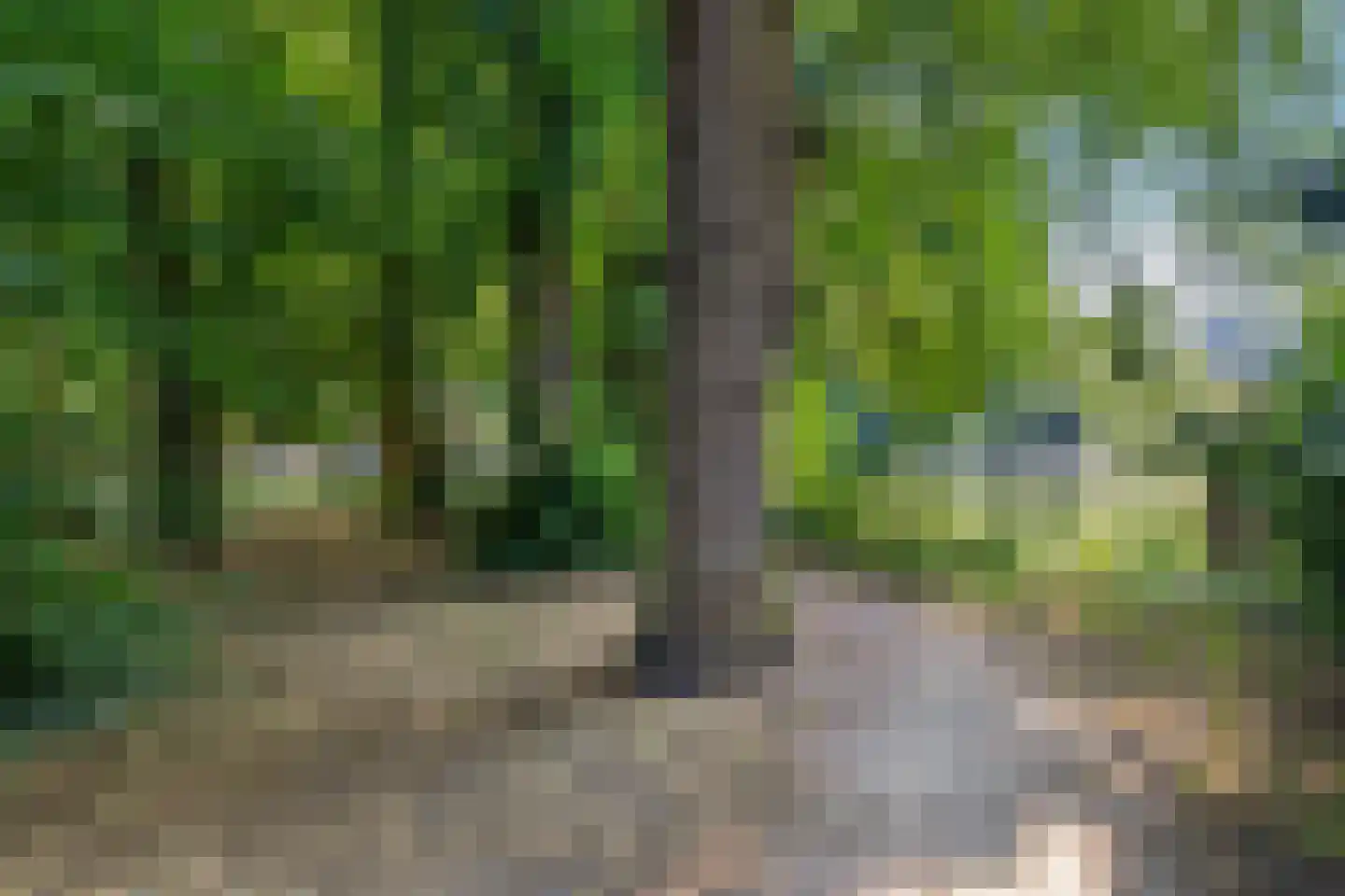 Velperweg 50 B 4 Arnhem thumbnail 25