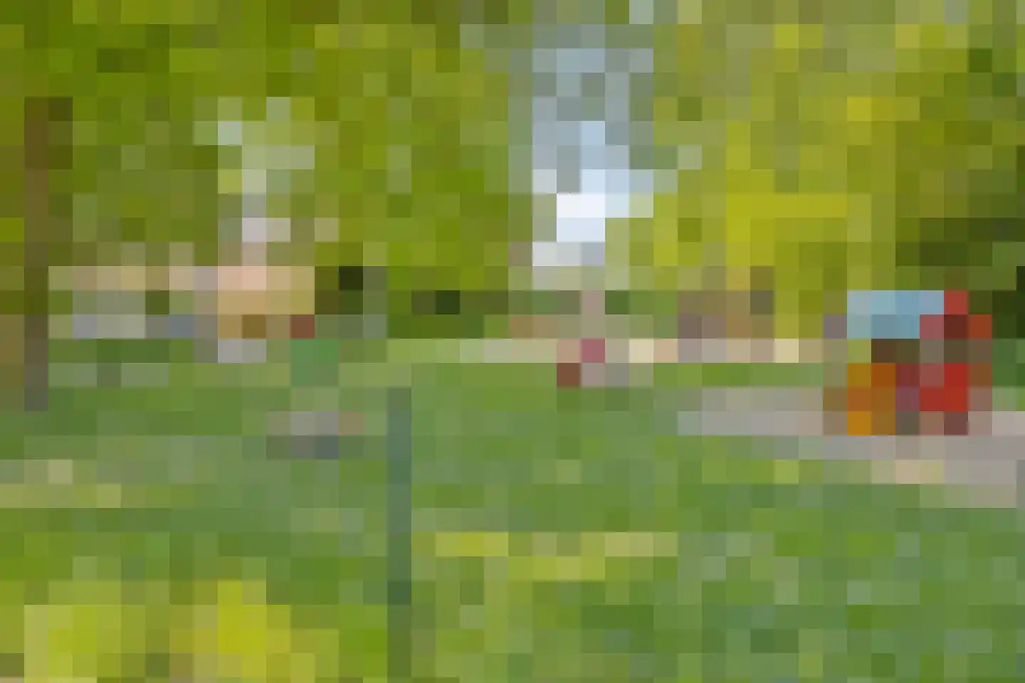 Velperweg 52 Arnhem thumbnail 51