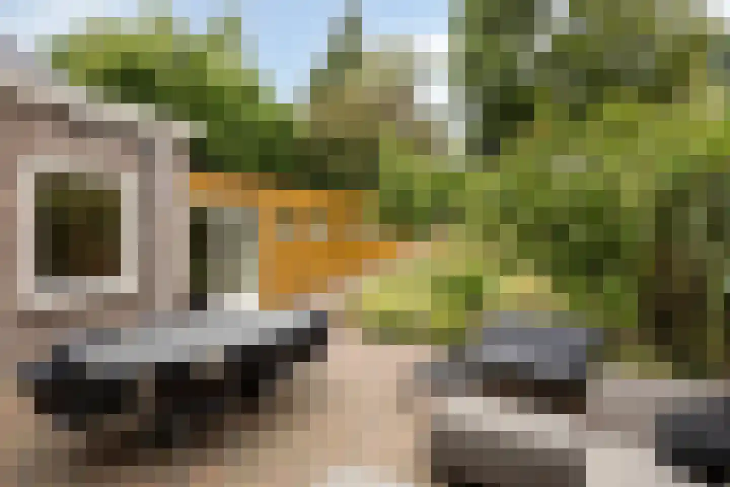 Velperweg 85 Arnhem thumbnail 17