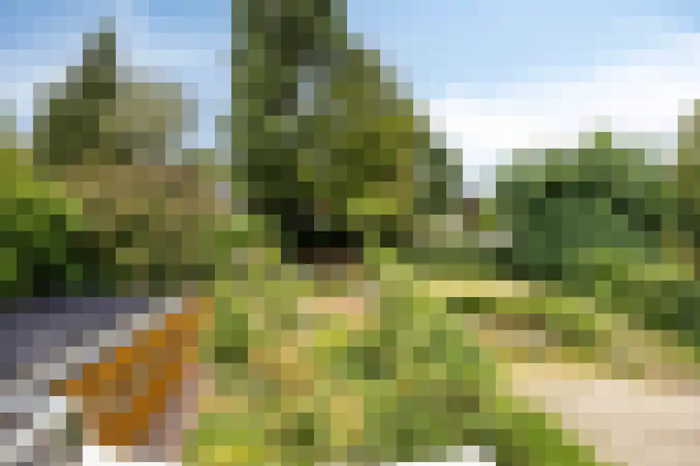 Velperweg 85 Arnhem thumbnail 30