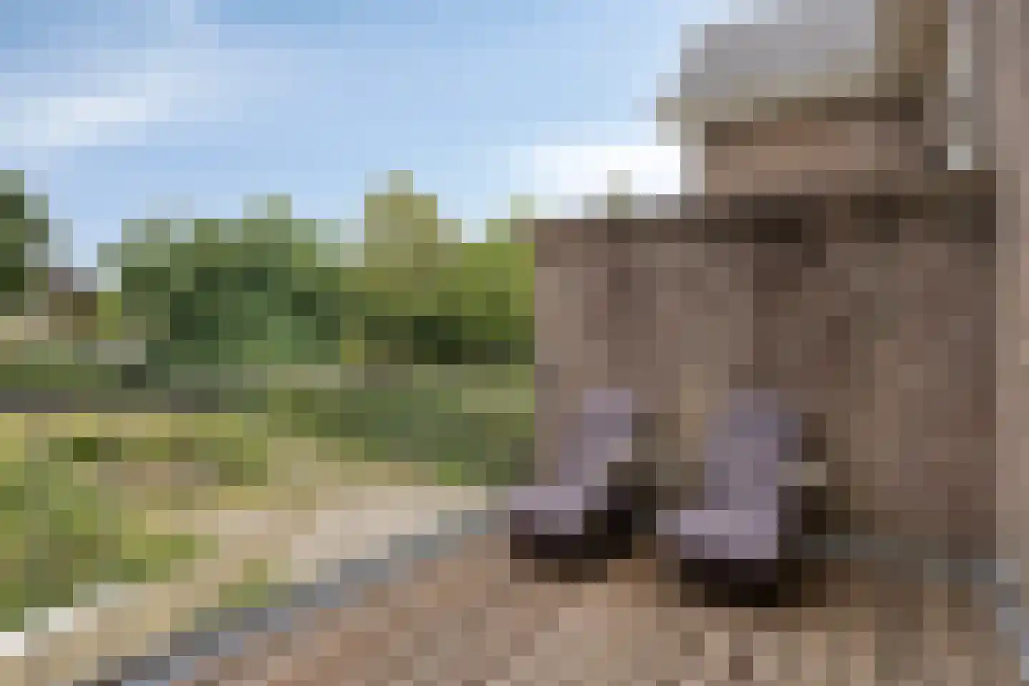 Velperweg 85 Arnhem thumbnail 31