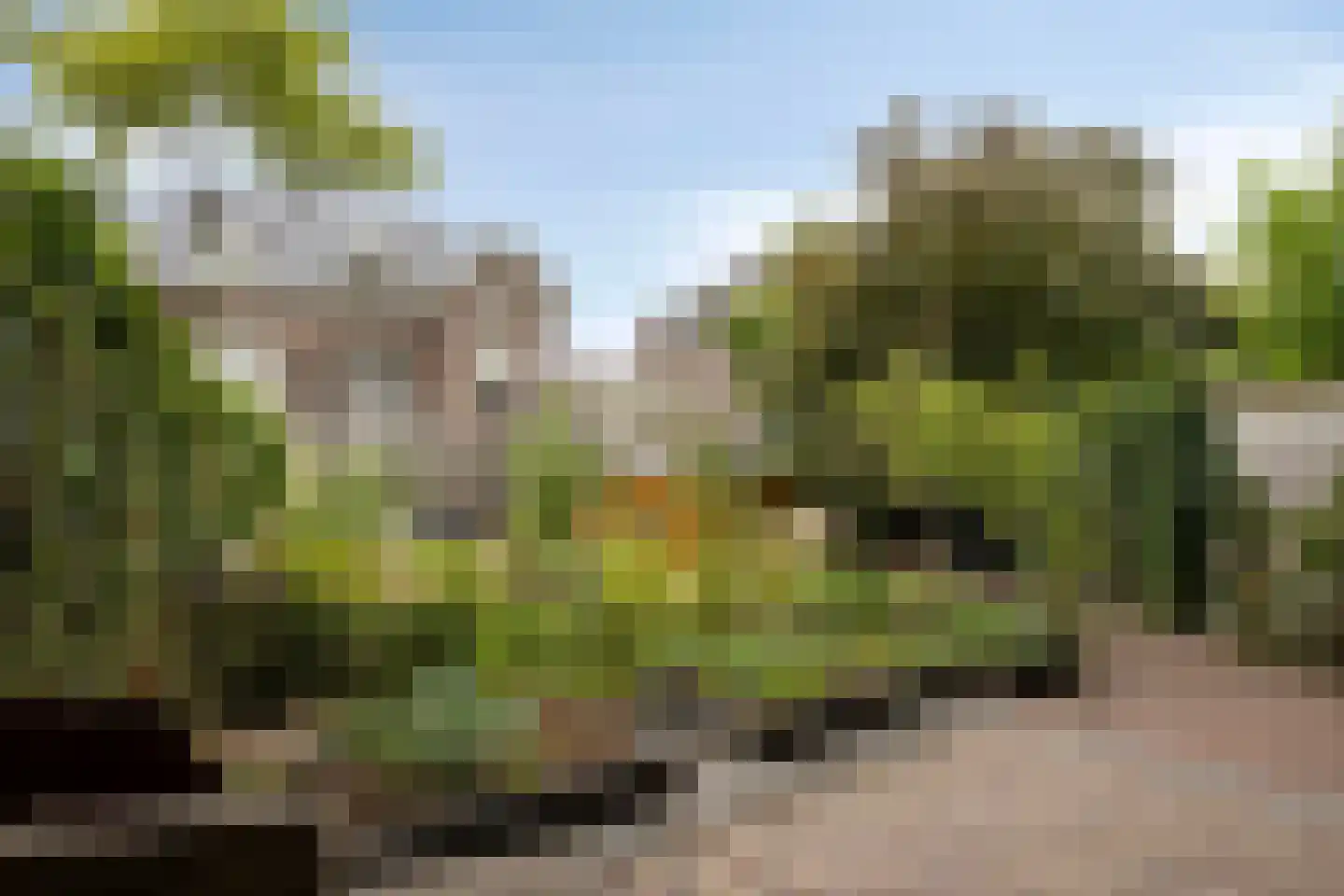 Velperweg 85 Arnhem thumbnail 46