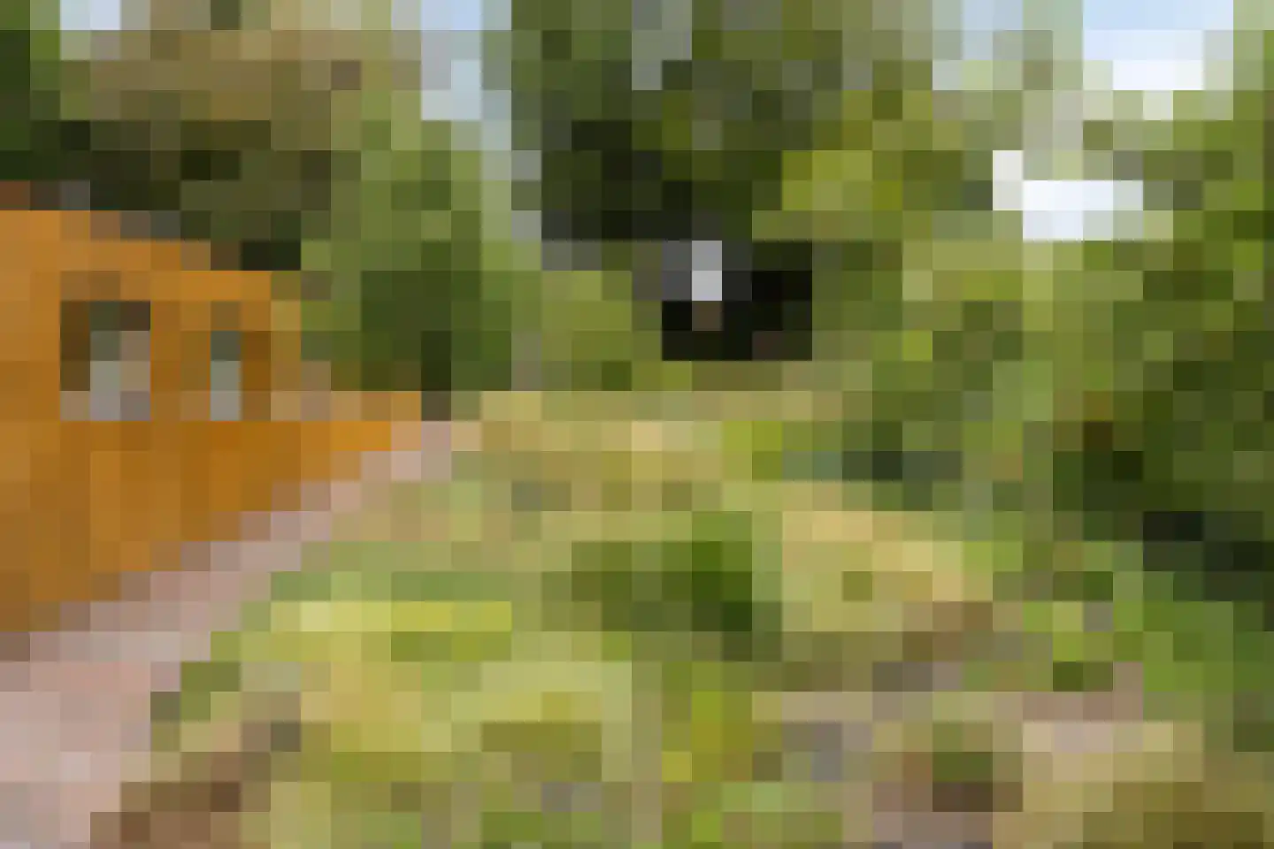 Velperweg 85 Arnhem thumbnail 51