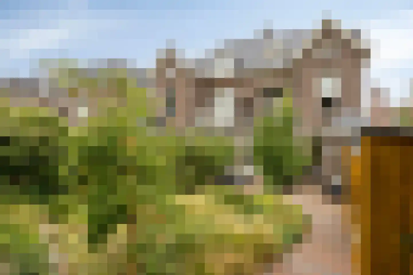 Velperweg 85 Arnhem thumbnail 52