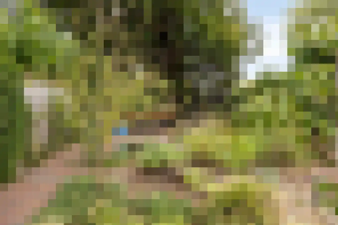 Velperweg 85 Arnhem thumbnail 54