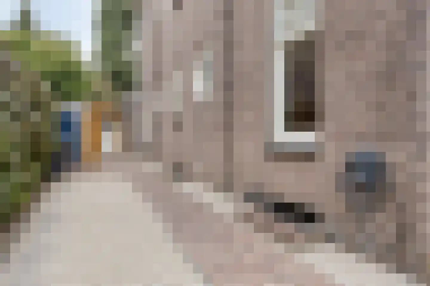 Velperweg 85 Arnhem thumbnail 56