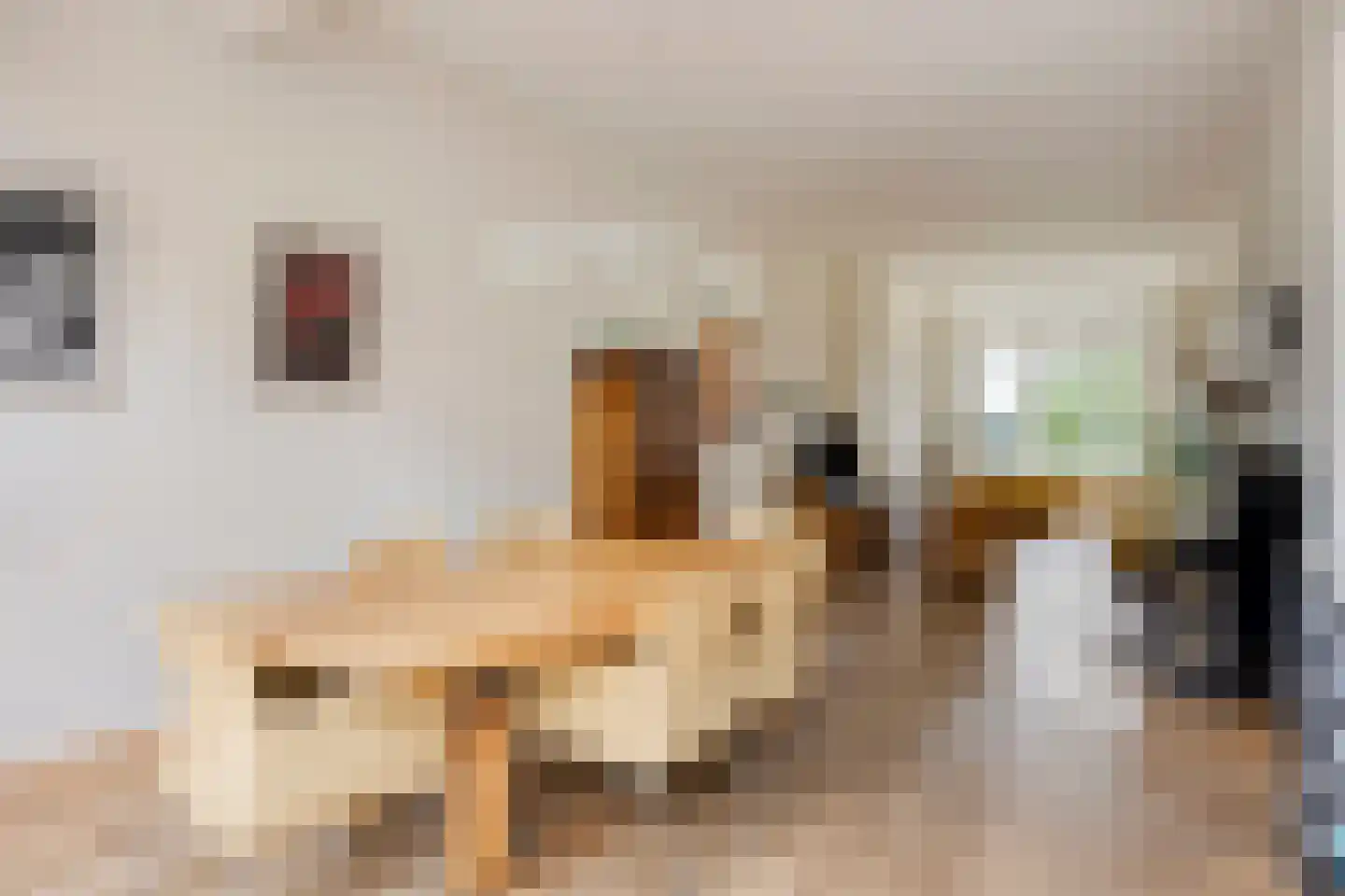 Velperweg 85 Arnhem thumbnail 9