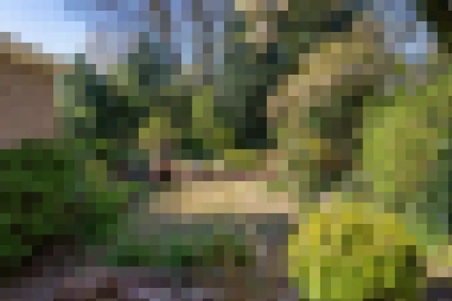 Velperweg 97 Arnhem thumbnail 14
