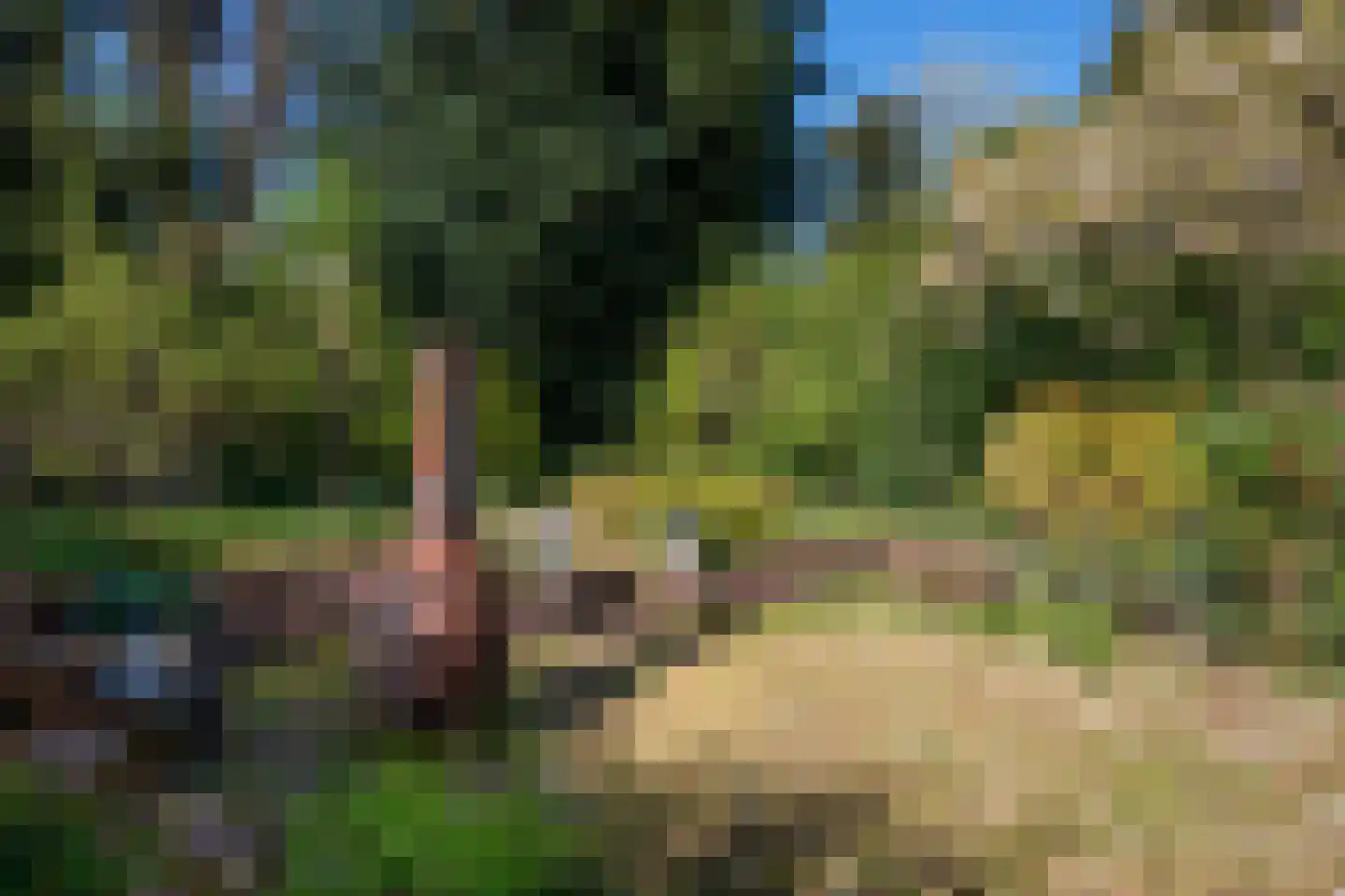 Velperweg 97 Arnhem thumbnail 15