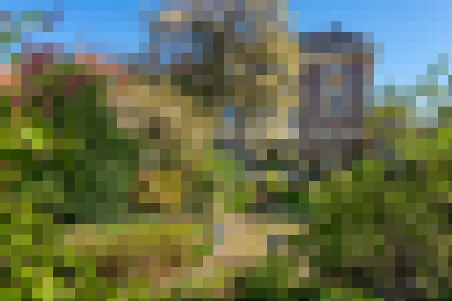 Velperweg 97 Arnhem thumbnail 16
