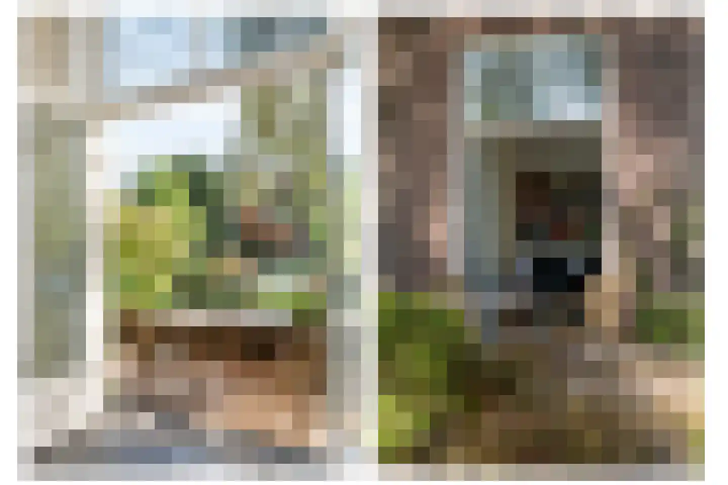 Velperweg 97 Arnhem thumbnail 18