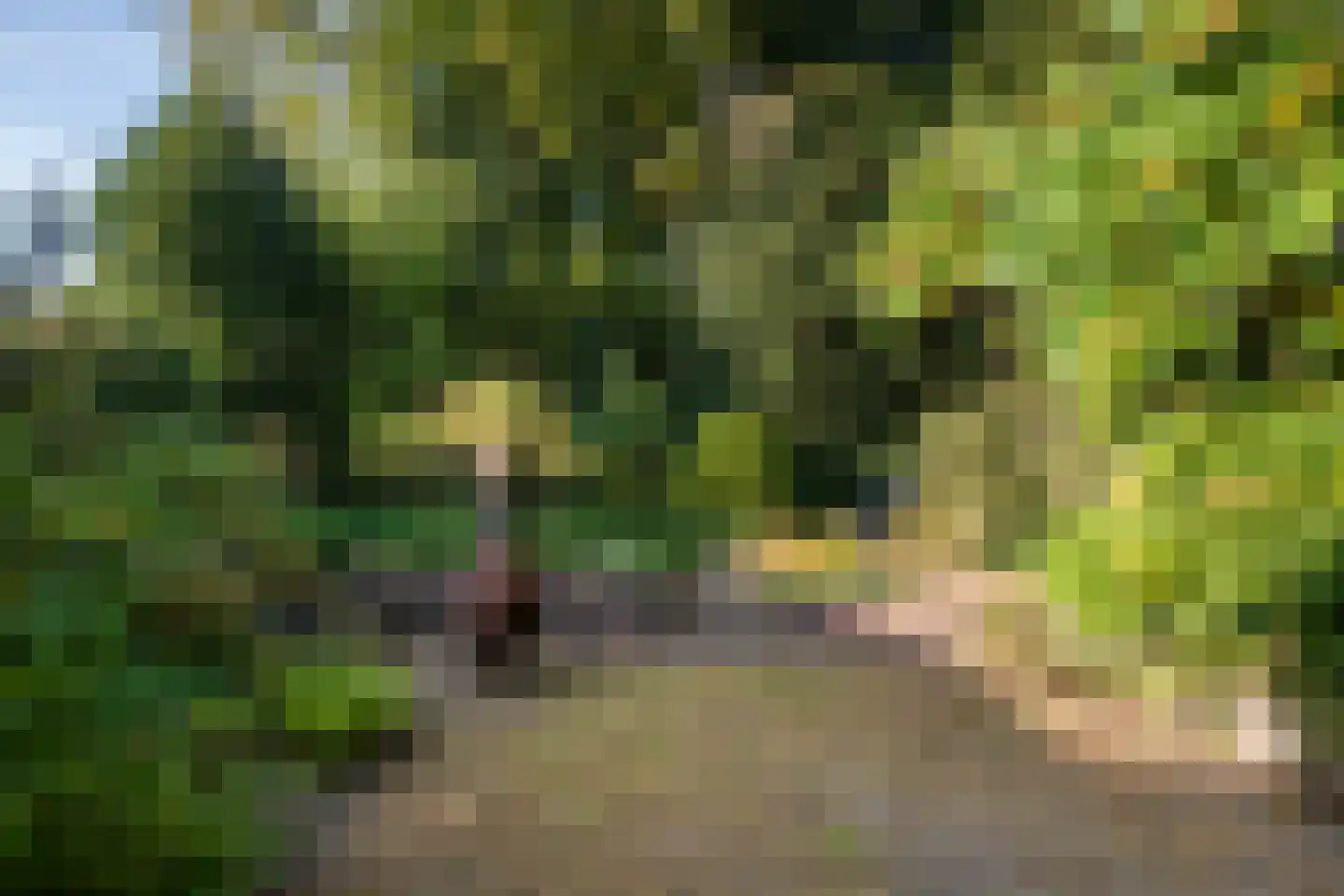 Velperweg 97 Arnhem thumbnail 25