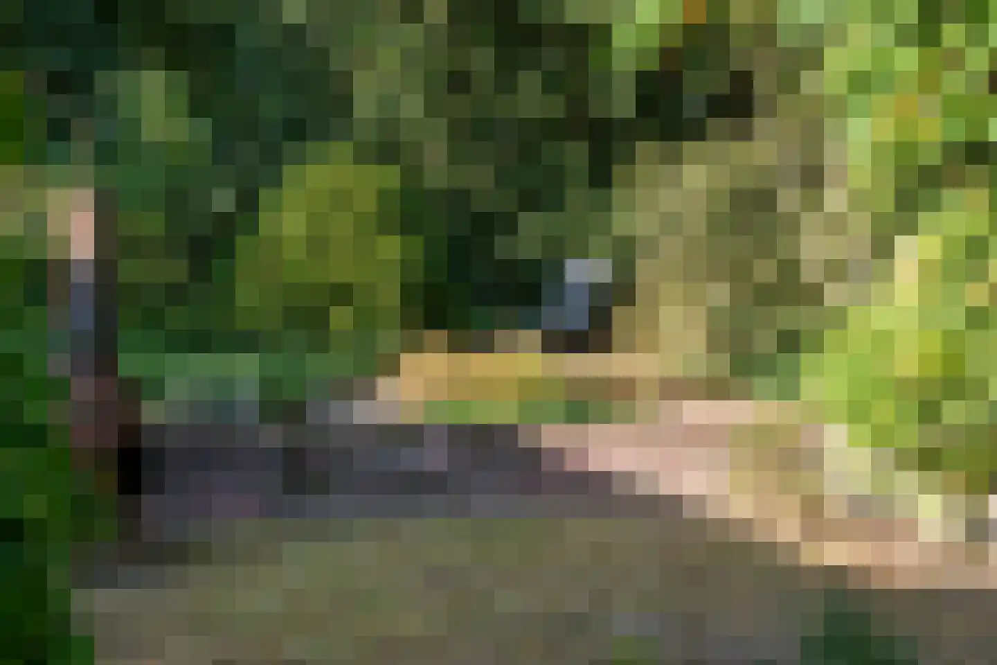 Velperweg 97 Arnhem thumbnail 26