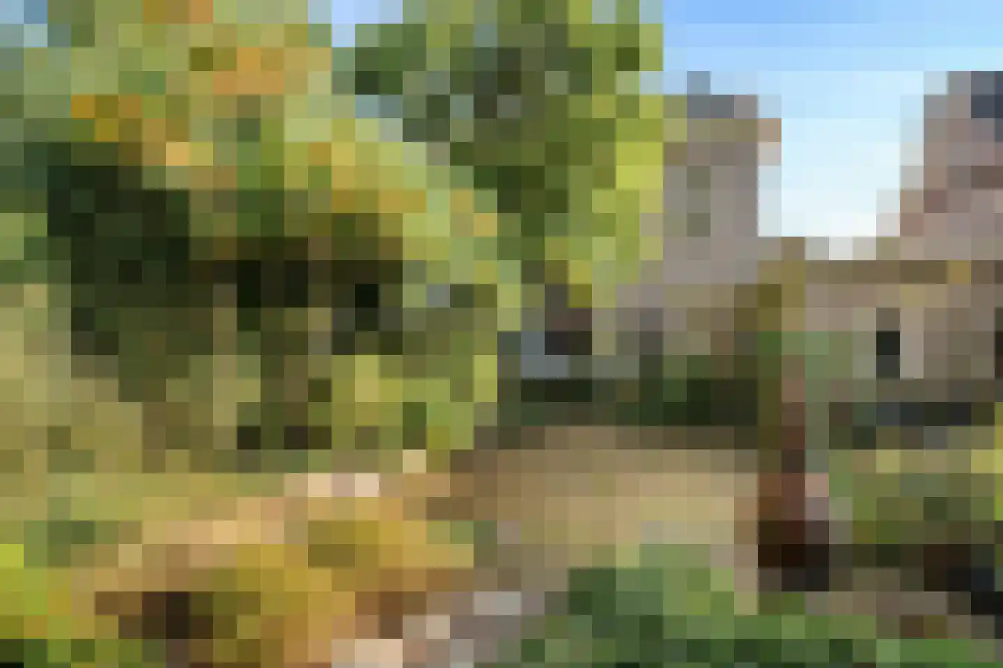 Velperweg 97 Arnhem thumbnail 27