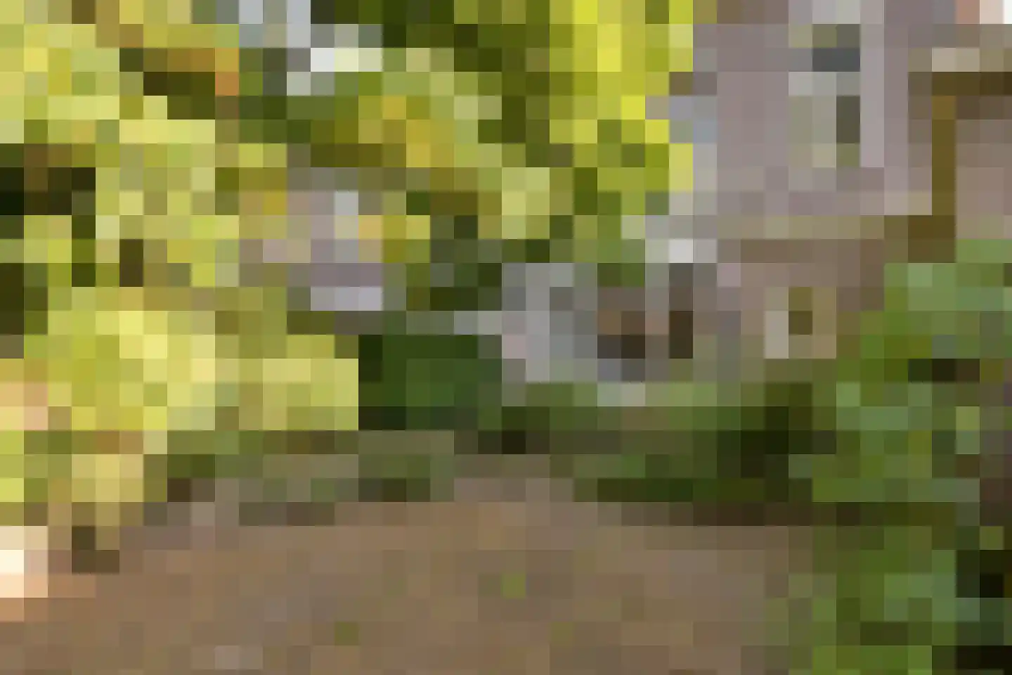 Velperweg 97 Arnhem thumbnail 28