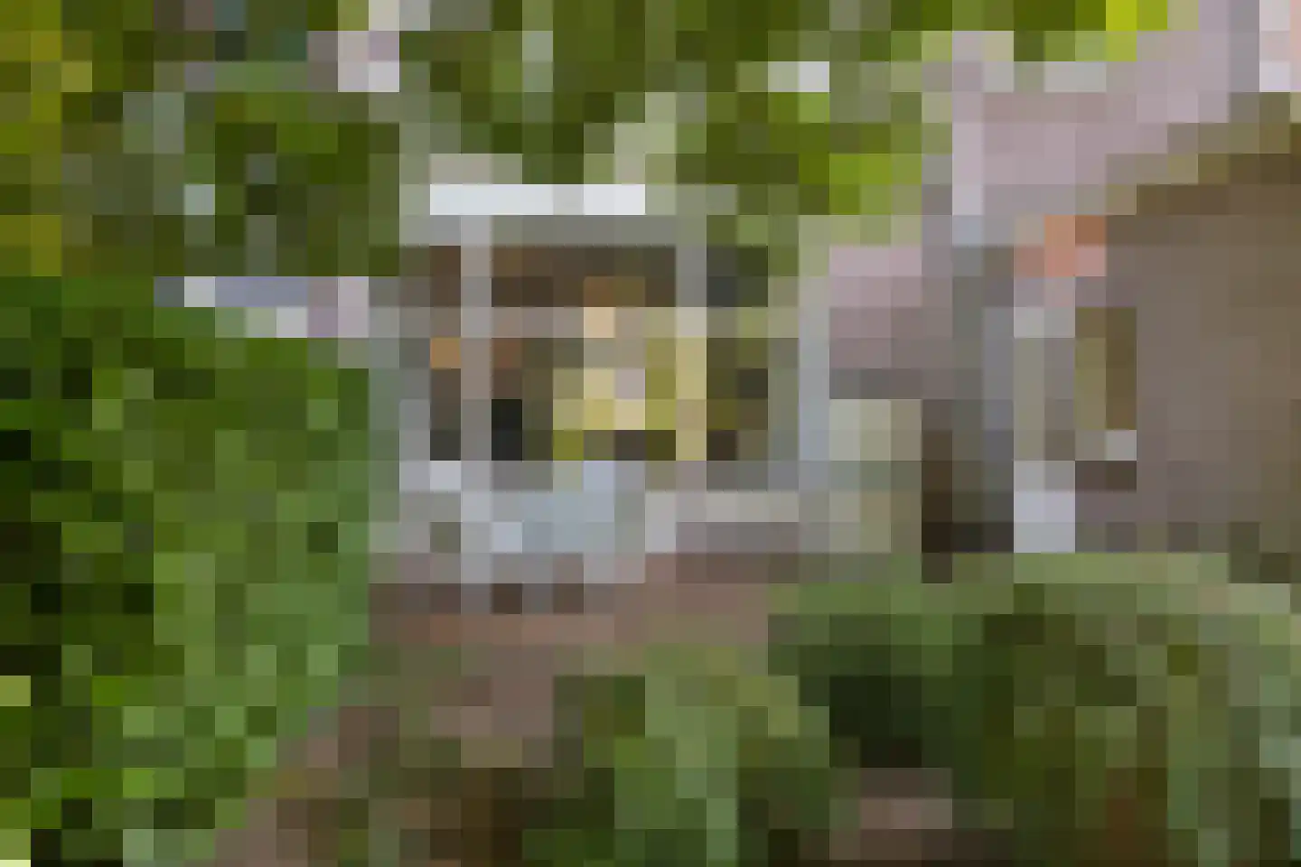 Velperweg 97 Arnhem thumbnail 29