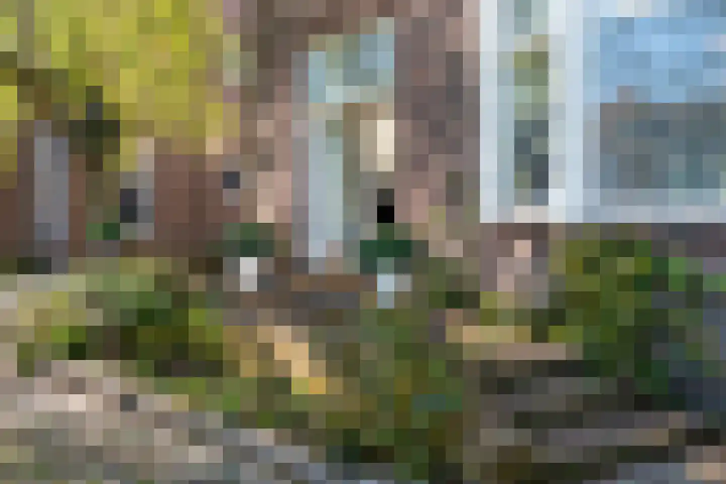 Velperweg 97 Arnhem thumbnail 32
