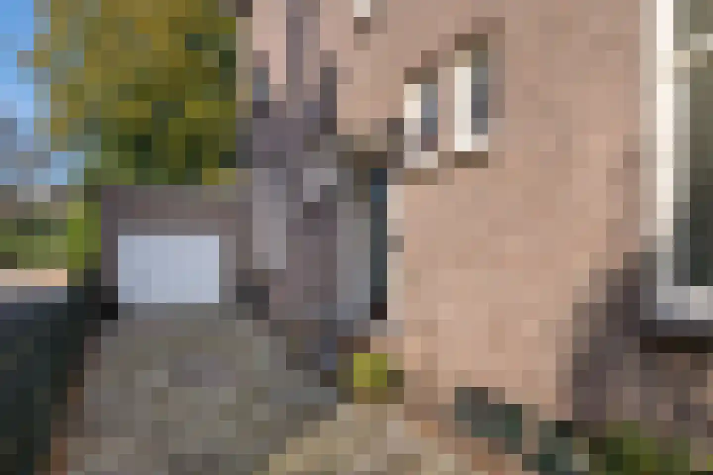 Velperweg 97 Arnhem thumbnail 4