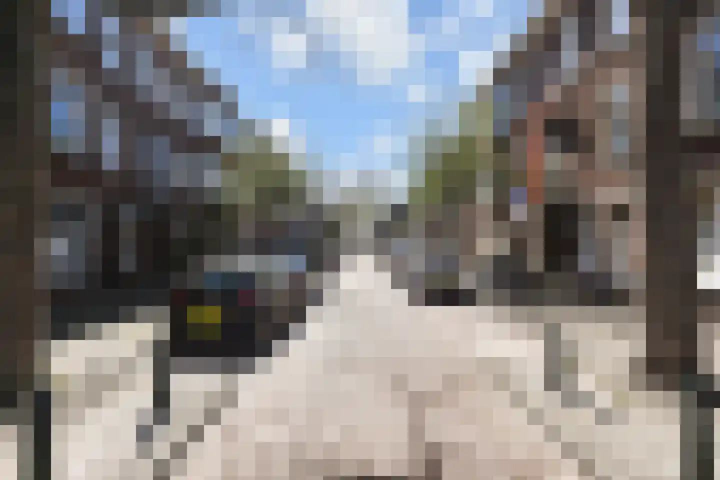Velpsestraat 104 C Den Haag thumbnail 27