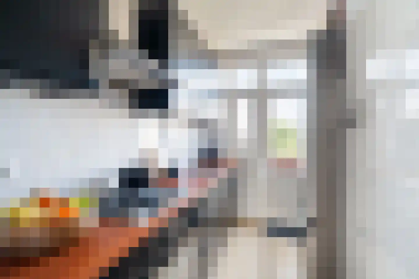 Velpsestraat 121 Den Haag thumbnail 9