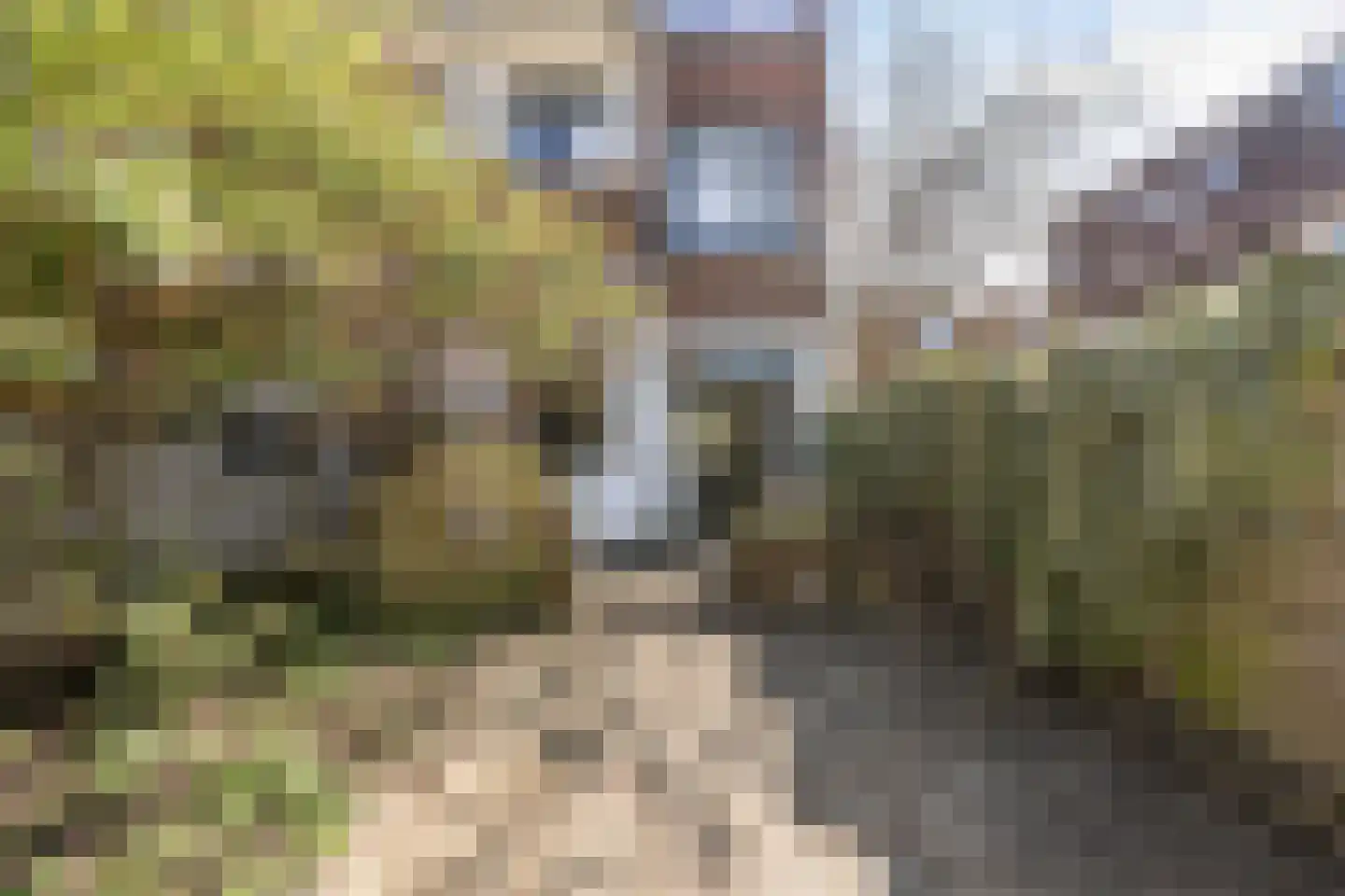 Velpsestraat 257 Den Haag thumbnail 33