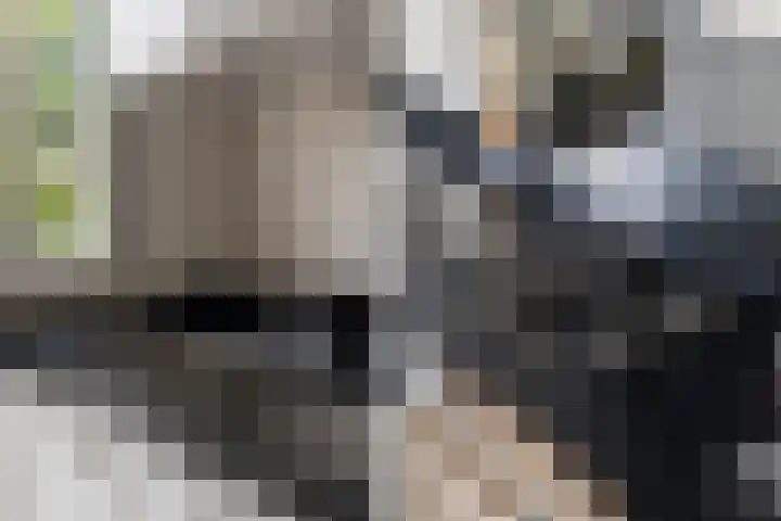Velpsestraat 80 Den Haag thumbnail 7