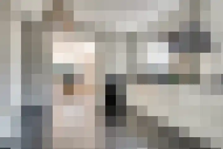Velpstraat 10 Tilburg thumbnail 10
