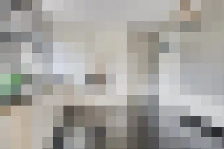 Velpstraat 10 Tilburg thumbnail 12
