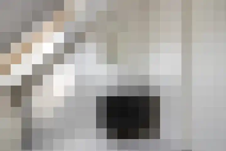 Velpstraat 10 Tilburg thumbnail 36