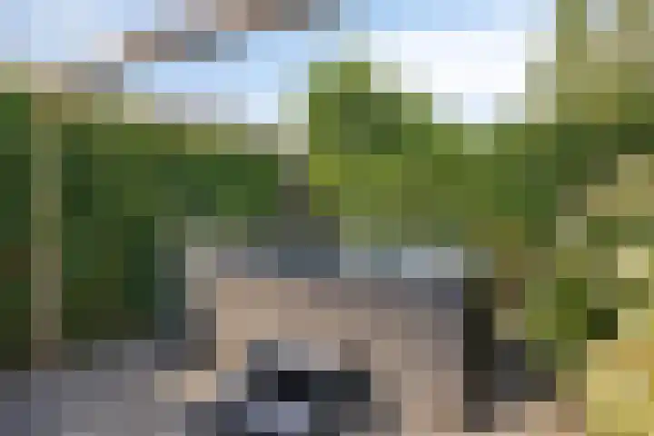 Velpstraat 10 Tilburg thumbnail 53