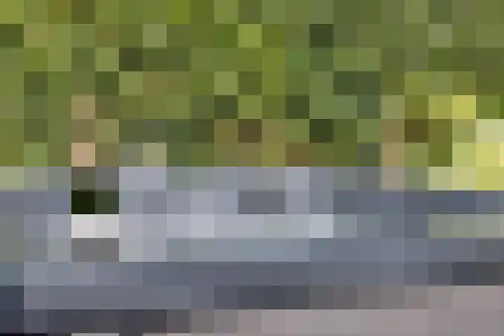 Velpstraat 10 Tilburg thumbnail 54