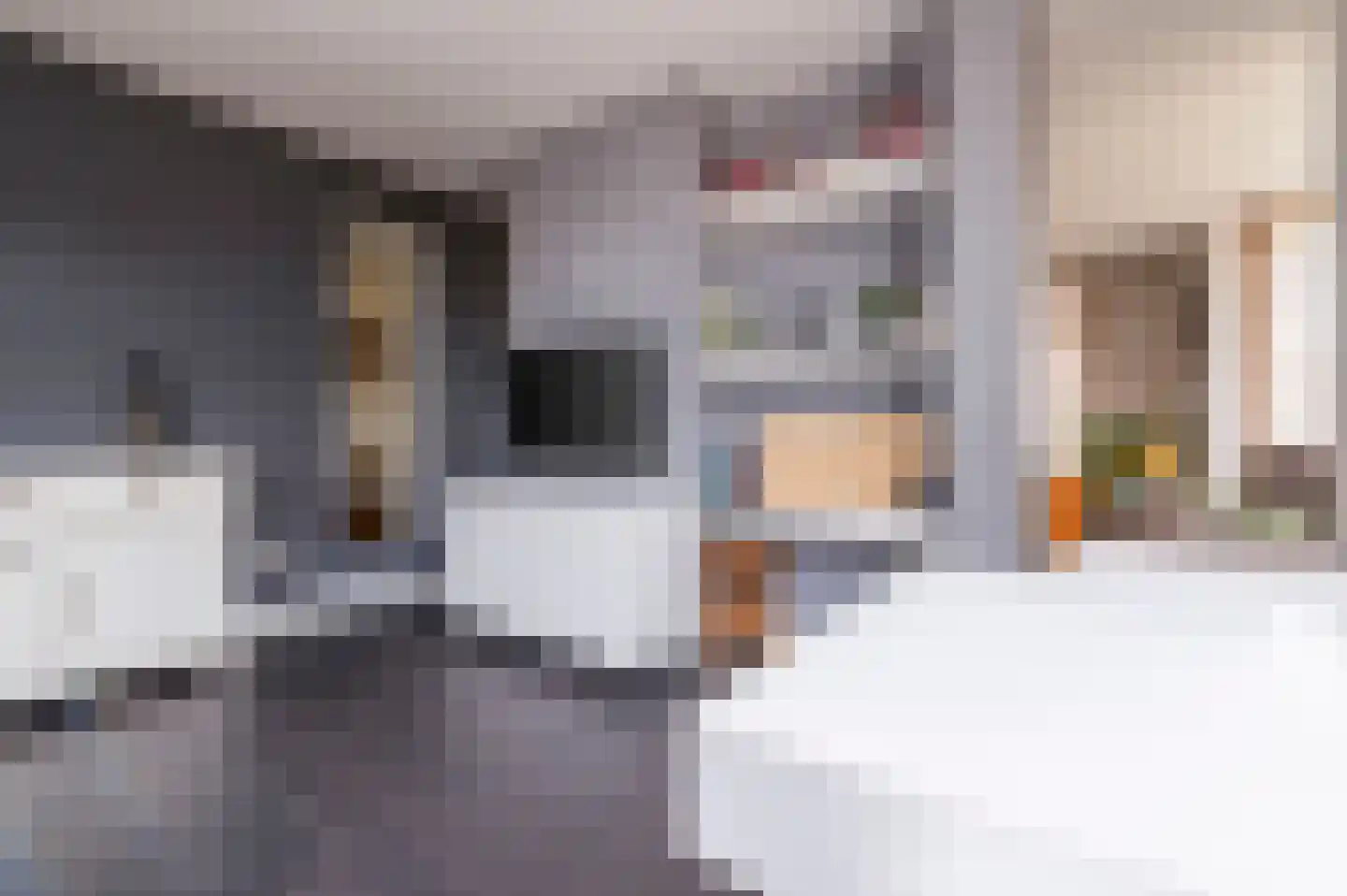 Velpstraat 12 Tilburg thumbnail 10