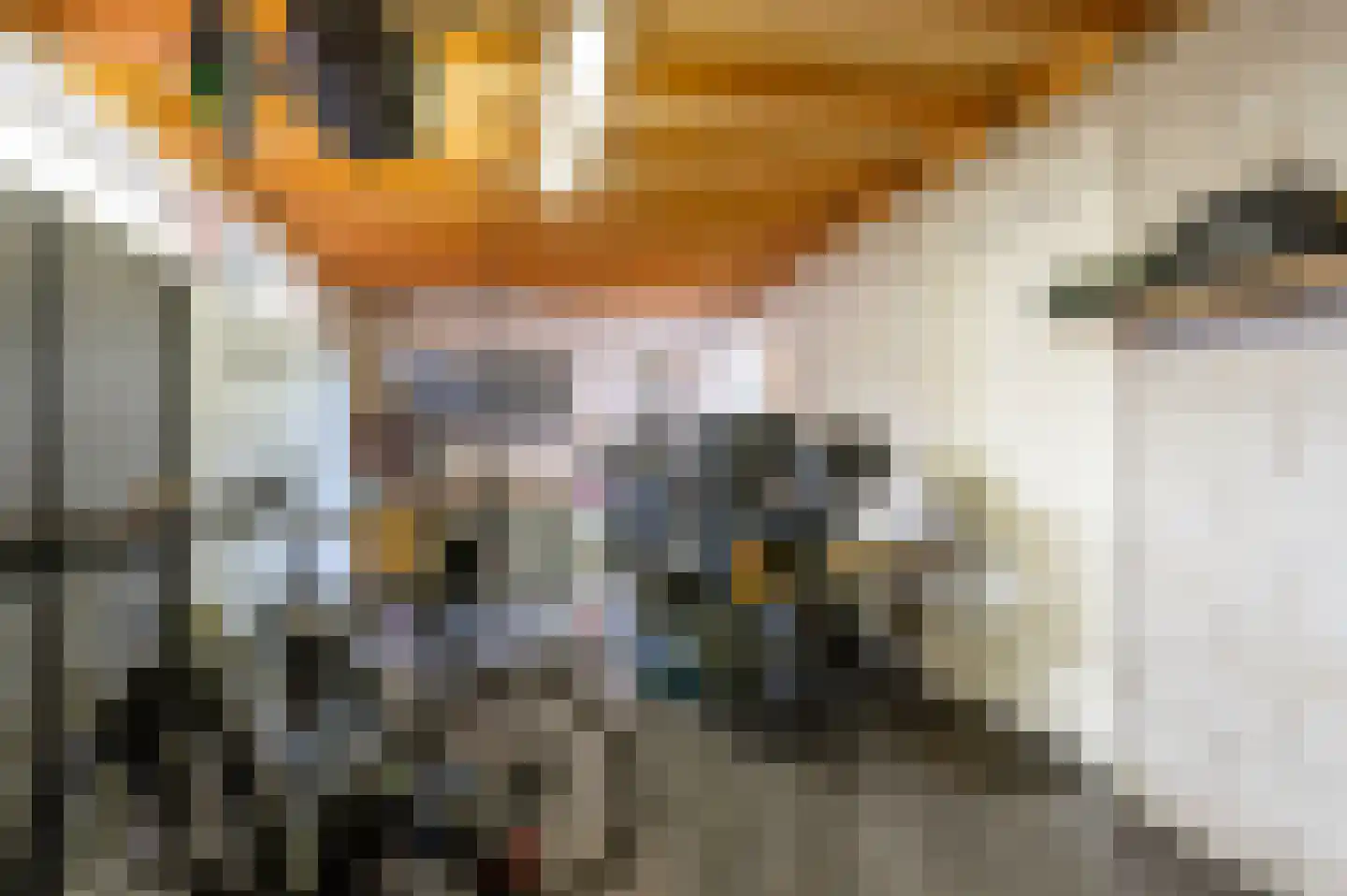 Velpstraat 12 Tilburg thumbnail 20