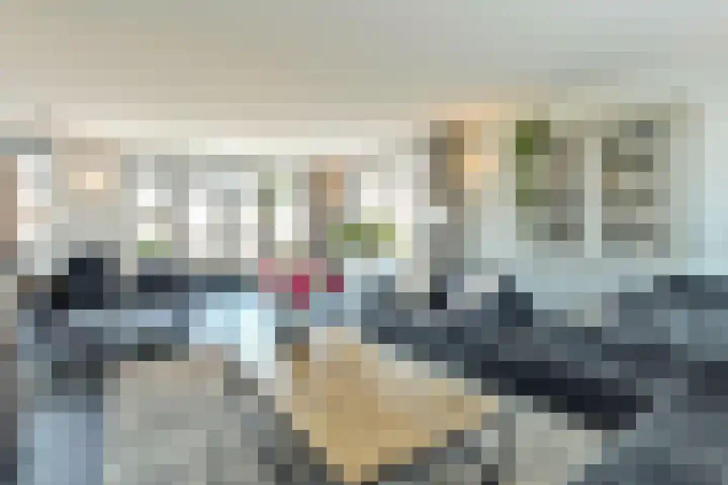 Velpstraat 14 Tilburg thumbnail 14