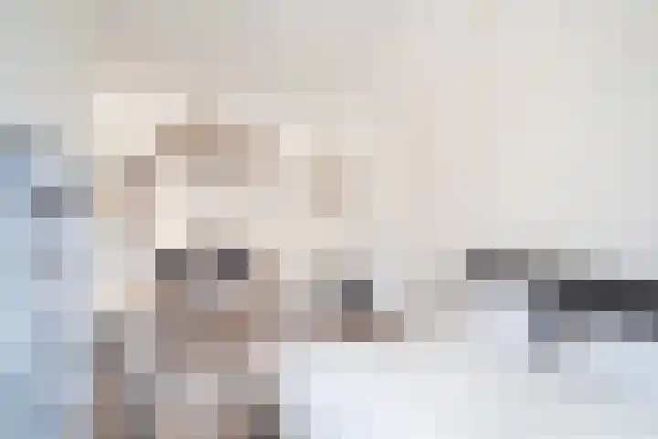 Velsenluststraat 4 A 02 Rotterdam thumbnail 16