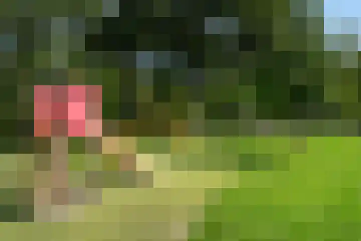 Velsenluststraat 4 A 02 Rotterdam thumbnail 25