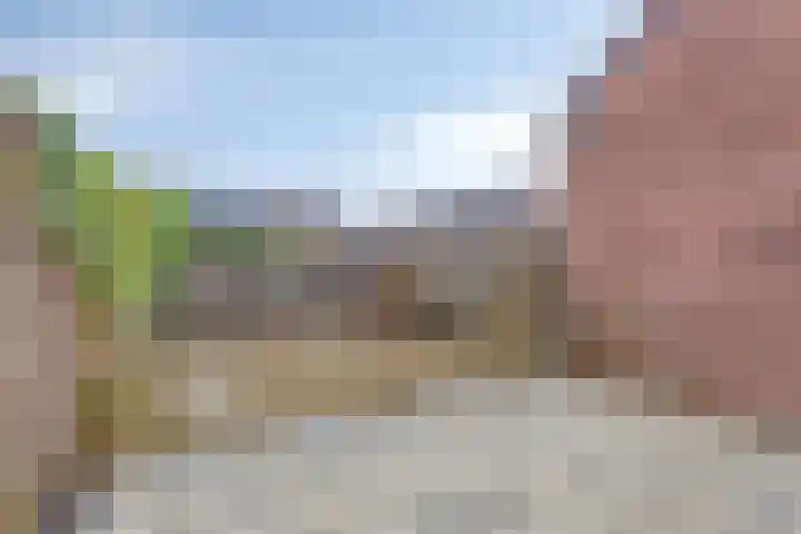 Velsenpad 13 Almere thumbnail 22