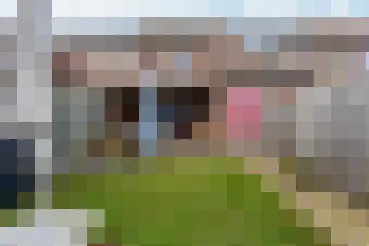 Velsenpad 38 Almere thumbnail 39
