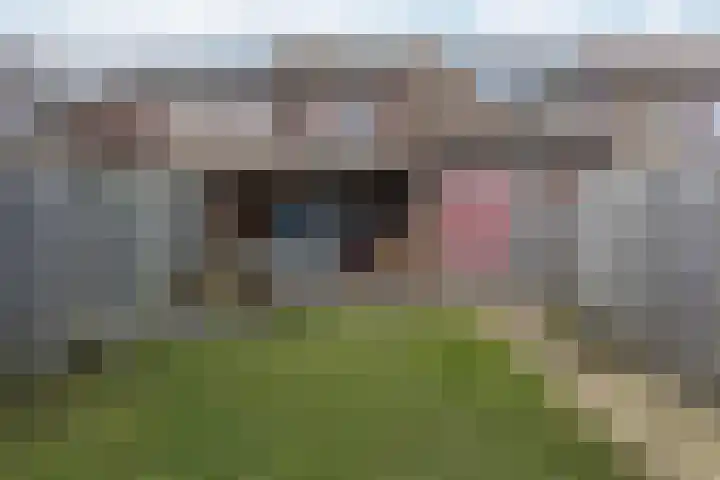 Velsenpad 38 Almere thumbnail 45