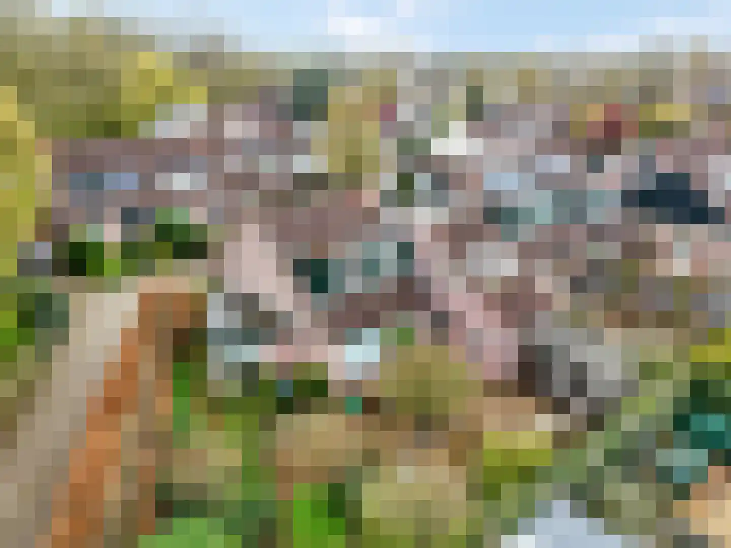 Velserbeek 14 Ede thumbnail 48