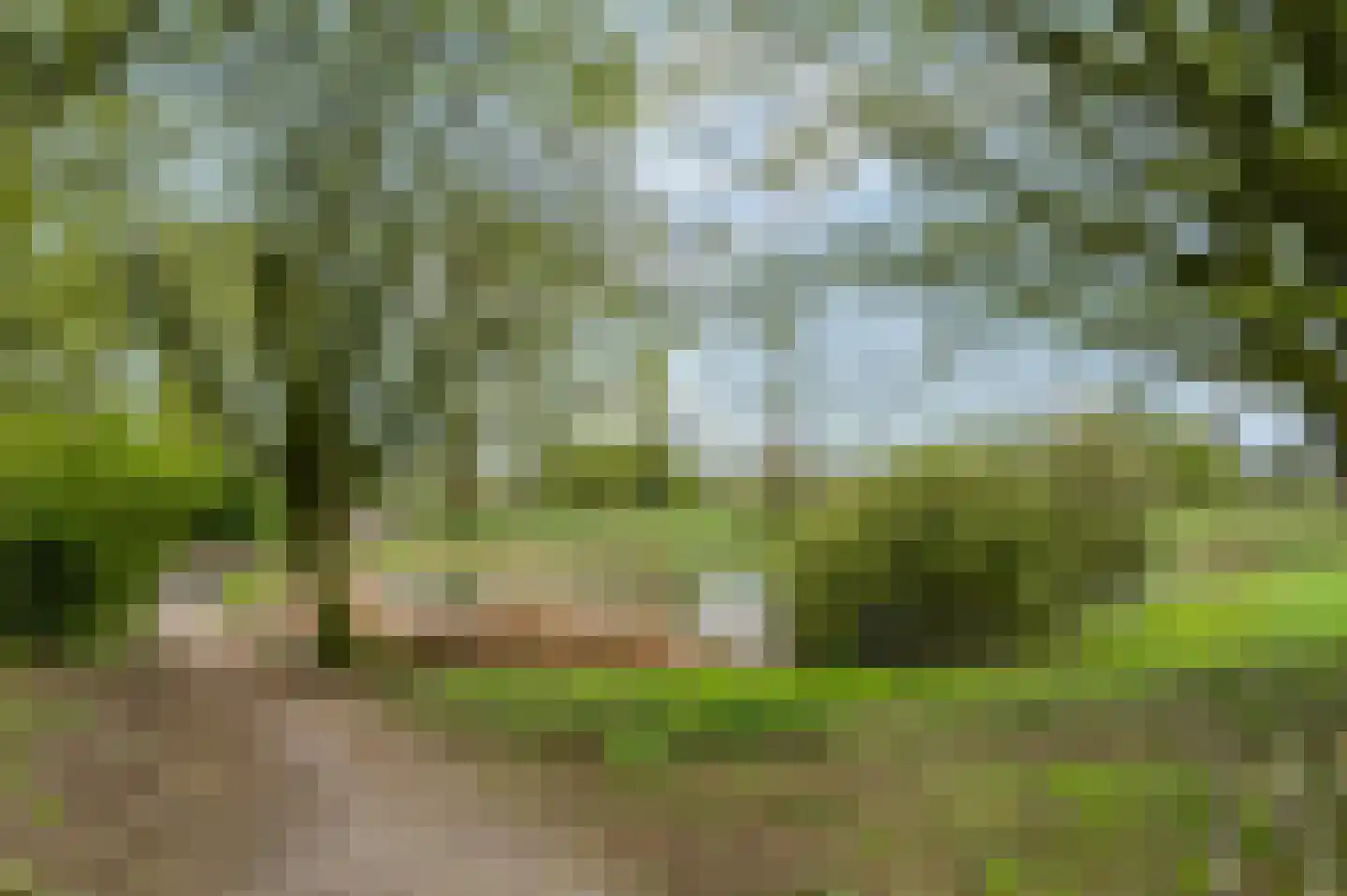 Velserbeek 14 Ede thumbnail 52