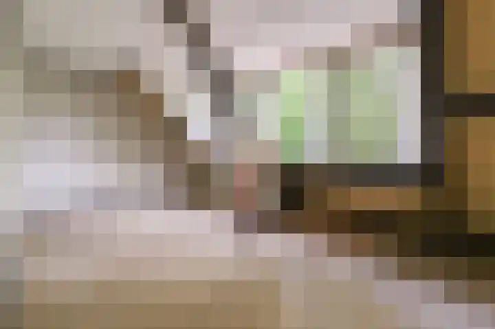 Velserbroekstraat 13 Santpoort-Noord thumbnail 27
