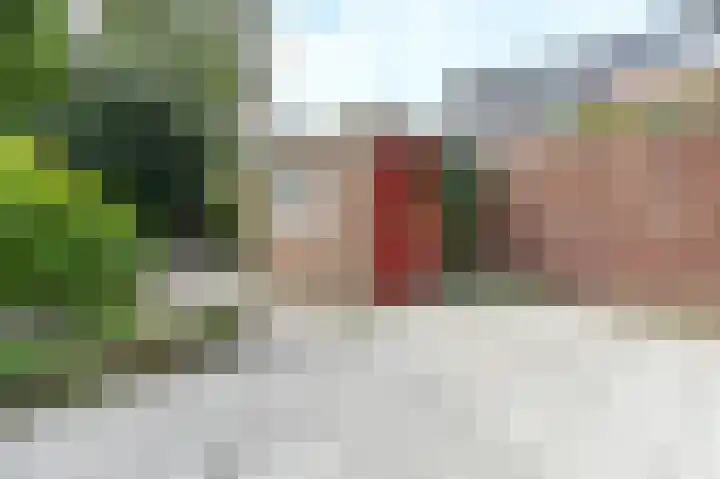 Velserbroekstraat 13 Santpoort-Noord thumbnail 34