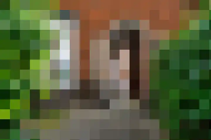 Velserbroekstraat 13 Santpoort-Noord thumbnail 4