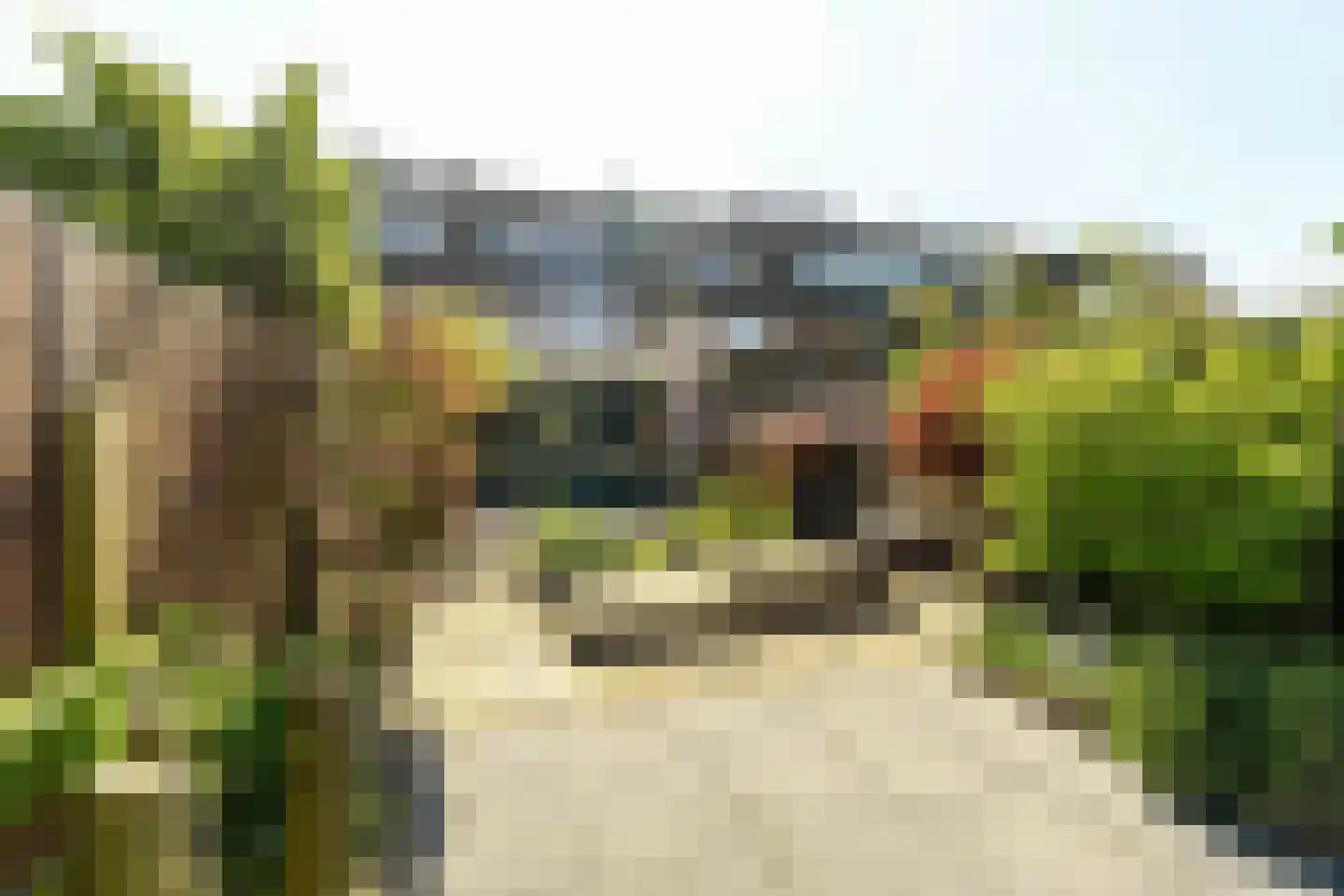 Velserbroekstraat 8 Santpoort-Noord thumbnail 20