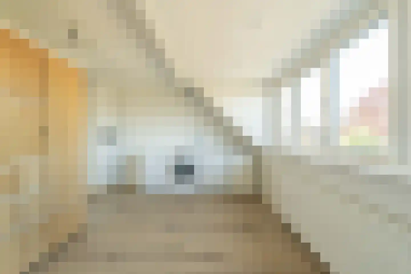 Velserbroekstraat 8 Santpoort-Noord thumbnail 32