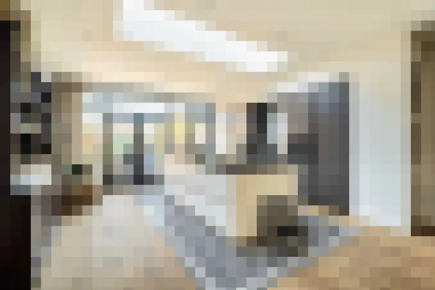 Velserbroekstraat 8 Santpoort-Noord thumbnail 4
